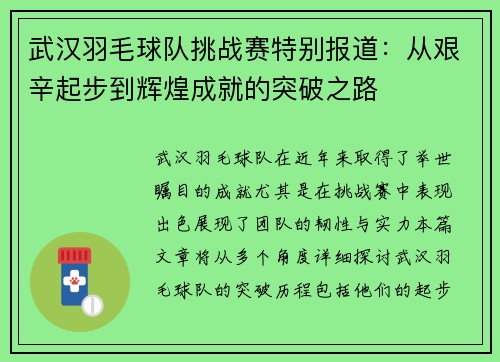 武汉羽毛球队挑战赛特别报道：从艰辛起步到辉煌成就的突破之路